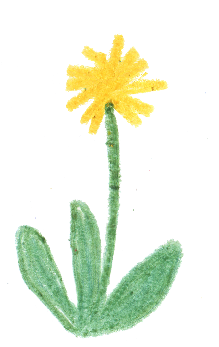 Kid Sister dandelion mark